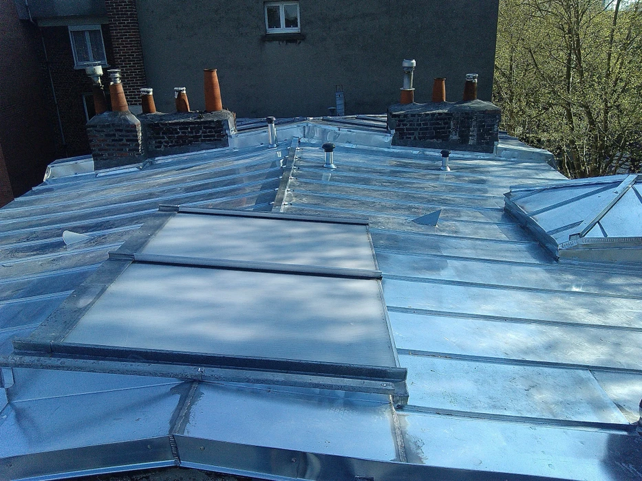 Vue extérieure d'une toiture en zinc avec verrières